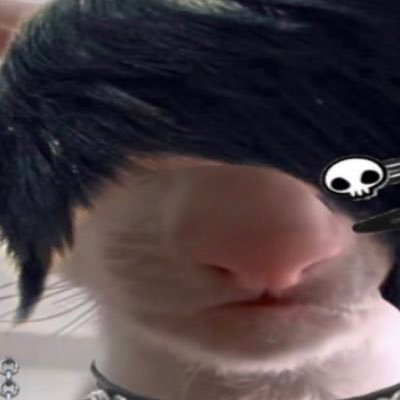 Catmachine4000's profile picture. I’m just a cat person who post things gawd dam