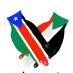White Nile Youth Association - Boston (@wnyaboston) Twitter profile photo