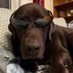 Baden The Chocolate Goofball๐จ๐ฆ๐ด๓ ง๓ ข๓ ณ๓ ฃ๓ ด๓ ฟ๐ฆฎ๐พ (@enfield_ns_rich) Twitter profile photo Baden The Chocolate Goofball๐จ๐ฆ๐ด๓ ง๓ ข๓ ณ๓ ฃ๓ ด๓ ฟ๐ฆฎ๐พ (@enfield_ns_rich) Twitter profile photo