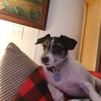 RT76201 (@rickt75102) 's Twitter Profile