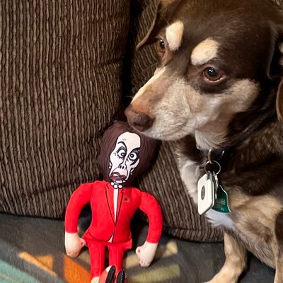 I’m just an everyday person trying to figure out this crazy life like everyone else. Dog and Animal lover, America First. NO DM’s 🇺🇸 MAGA!