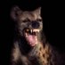 Höddy Emserich (@hemserich) Twitter profile photo