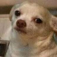 auKfSoqlPR55906's profile picture. 