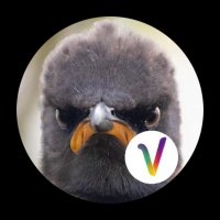 AnonymousLP ✊🏻#FrontPopulaire #GaucheUnie (@lpendanger) 's Twitter Profile Photo AnonymousLP ✊🏻#FrontPopulaire #GaucheUnie (@lpendanger) 's Twitter Profile Photo