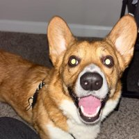 Judd (@dunn_goofed) 's Twitter Profile