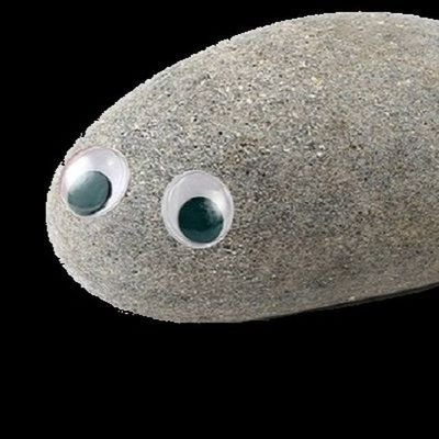 PetRockOnSol's profile picture. Join the Pet Rock Family Today ✨

ca: 3Ny7ouGfjha8NLZYeePk5G2k3iB9hyhTcUtKxkFkLXov

Tg: https://t.co/s14hibWKPr