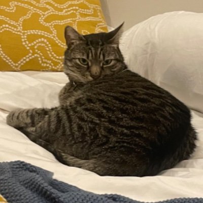 kat_energy27's profile picture. early career power systems planning engineer. views are my own and ever-evolving. here for #energytwitter