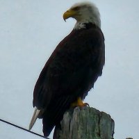 jrf2581 (@jrf2581) 's Twitter Profile