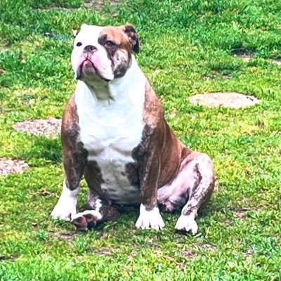 walli1776's profile picture. 