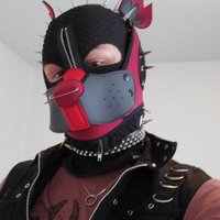 Pup Braid (@thepupbraid) 's Twitter Profile Photo Pup Braid (@thepupbraid) 's Twitter Profile Photo