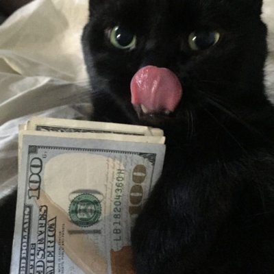 myordeaI's profile picture. Content Creator