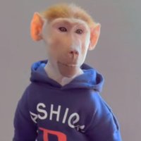 picklefn (@dignitaspickle) 's Twitter Profile