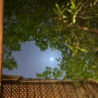 نافذة (@e6bll) 's Twitter Profile