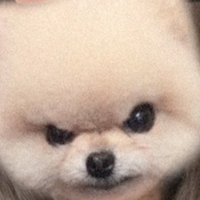 きょこ (@qba_u) 's Twitter Profile