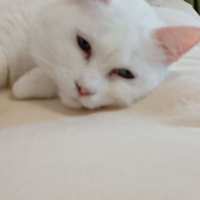 23CdID3LcK9805's profile picture. 