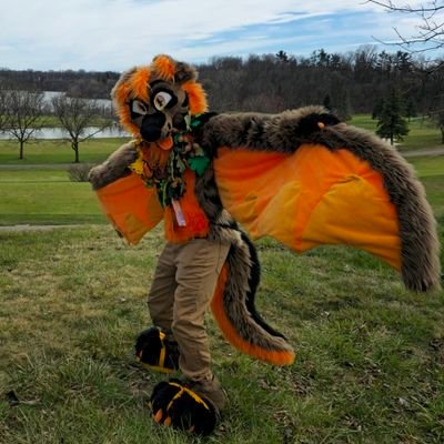 Nikko Profile