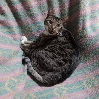 Mike552ll's profile picture. 