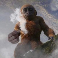 smithypie (@smithypied) 's Twitter Profile