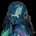 GatsAndBirds ๐ด ๐ (@gatsandbirds) Twitter profile photo GatsAndBirds ๐ด ๐ (@gatsandbirds) Twitter profile photo