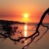 eli mo (@elimo74) 's Twitter Profile