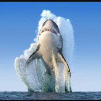 Nelson O'tippol (@nelsonotippol) 's Twitter Profile