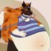Pizzi ๐ถ๐ (@dog_gone_crazy) Twitter profile photo Pizzi ๐ถ๐ (@dog_gone_crazy) Twitter profile photo