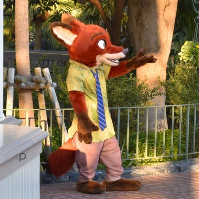 Piberius_mamy29's profile picture. ズートピア2は2025🐰🦊I wanna talk about the goodness of Zootopia with people all over the world🙋🏻◉D映画◉バウンド◉Ｄハロ◉Dch 好きなアトラクはインディ、スプラ。インスタはパークで撮った写真たち↓