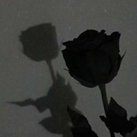 JOSÉ LUIS SANDOVAL (@josluissan90817) 's Twitter Profile