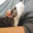 itohnohiroshi's profile image