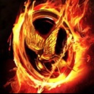 Hunger Games movie comes out in theaters on 3/23/2O12