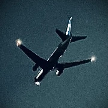 ccoc2921's profile picture. 無言フォロー失礼します🙇🏻‍♂️