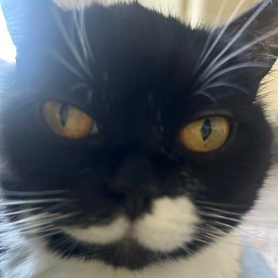 justinjuhl13's profile picture. 