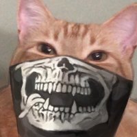 Karmeh (@karmehkarma) 's Twitter Profile