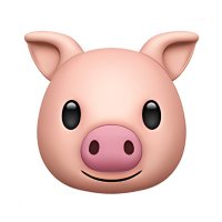 GAY PIG (@gaypig08) 's Twitter Profile