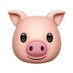 GAY PIG (@gaypig08) Twitter profile photo GAY PIG (@gaypig08) Twitter profile photo