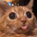 COLBY JACK (@olson_iton) Twitter profile photo COLBY JACK (@olson_iton) Twitter profile photo