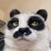 jjjaek (@pongvt123) Twitter profile photo jjjaek (@pongvt123) Twitter profile photo