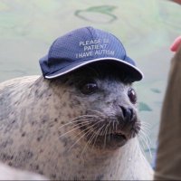 muskrat🐀 (@elonmuskrat666) Twitter profile photo