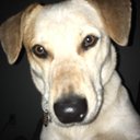 Elbert Patterson - @ElbertPatt70797 - Twitter