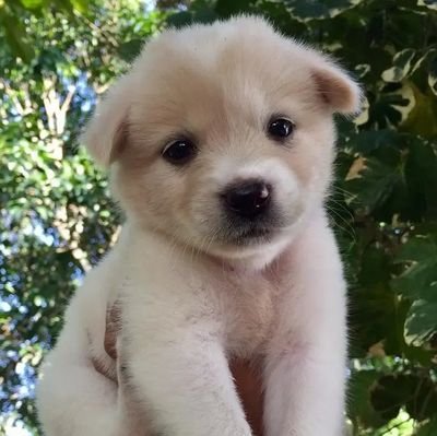 AlamagJohn42167's profile picture. 