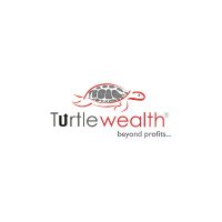 Turtle Wealth (@turtlewealth) 's Twitter Profile