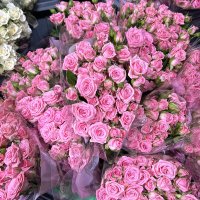 هُــدى (@alshammarihudaa) Twitter profile photo