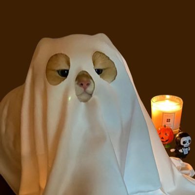 jumpookkkkk's profile picture. 