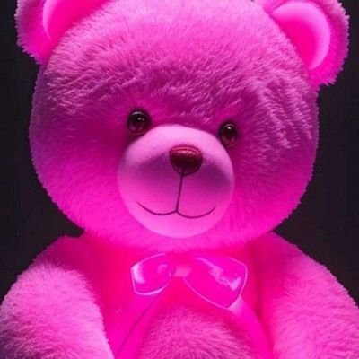 haruna_saf95401's profile picture. 
