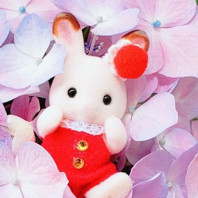 寅ねこさんのプロフィール画像