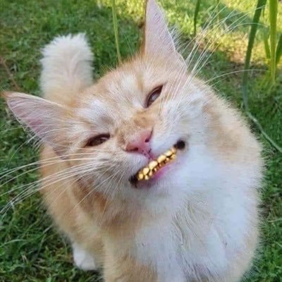 Lise dis Lise dat 🐣 .. chase da Munyun not my business 😎 Ghosts Lady , whoever Ghost is 🤭 come get ya teeth checked on ! 📚🦷