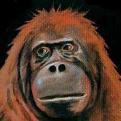 MatthewPacchia1's profile picture. Just here for entertainment