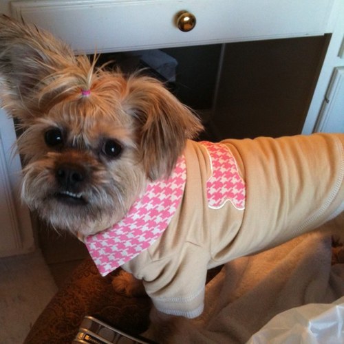 colbyspencer96's profile picture. 