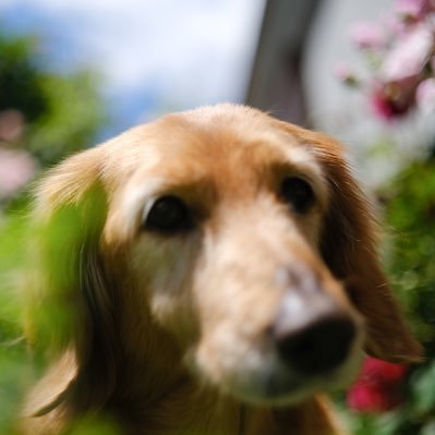 kenken19990618's profile picture. soco