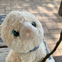 Neconnecomyau (@neconnecomyau) 's Twitter Profile Photo Neconnecomyau (@neconnecomyau) 's Twitter Profile Photo